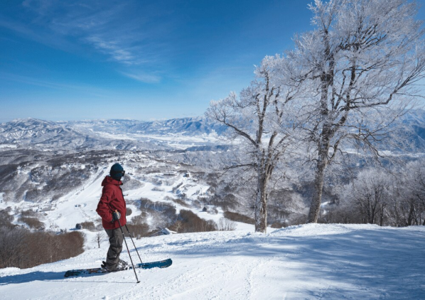 斑尾高原スキー場(两日一泊)(平日)