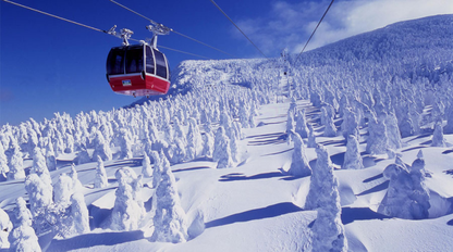 蔵王温泉スキー場（两日一泊）（平日）