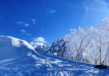 竜王スキーパーク（两日一泊）