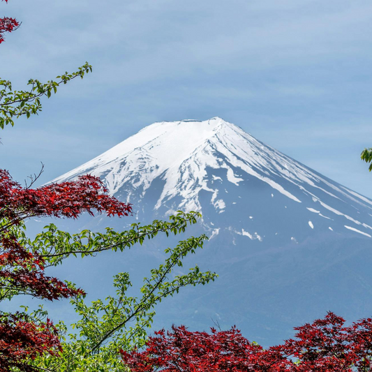 富士山日帰りツアー