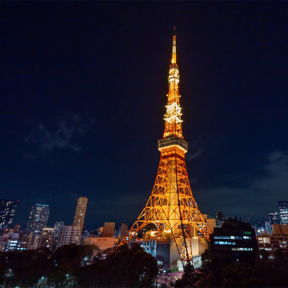 東京日帰りツアー