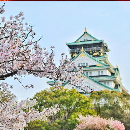 大阪市内日帰りツアー