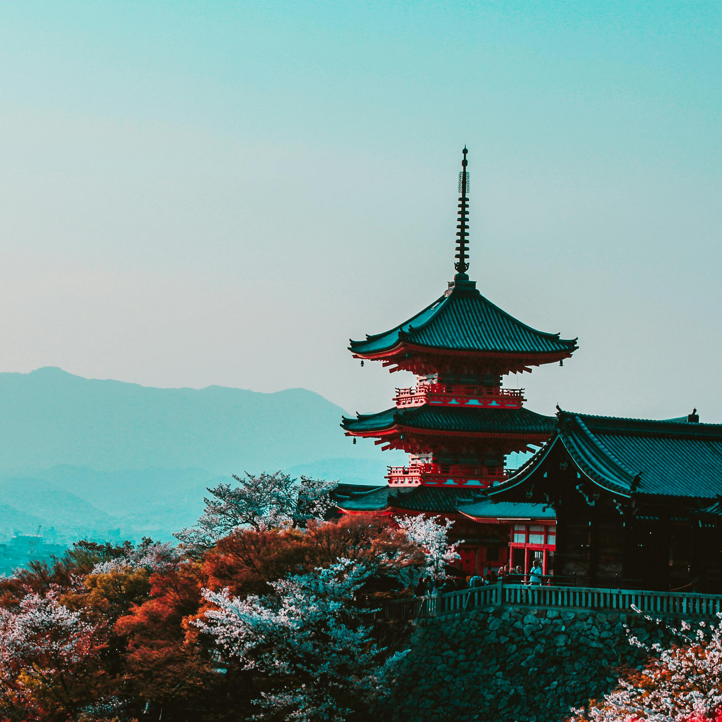 清水寺と祇園ツアー